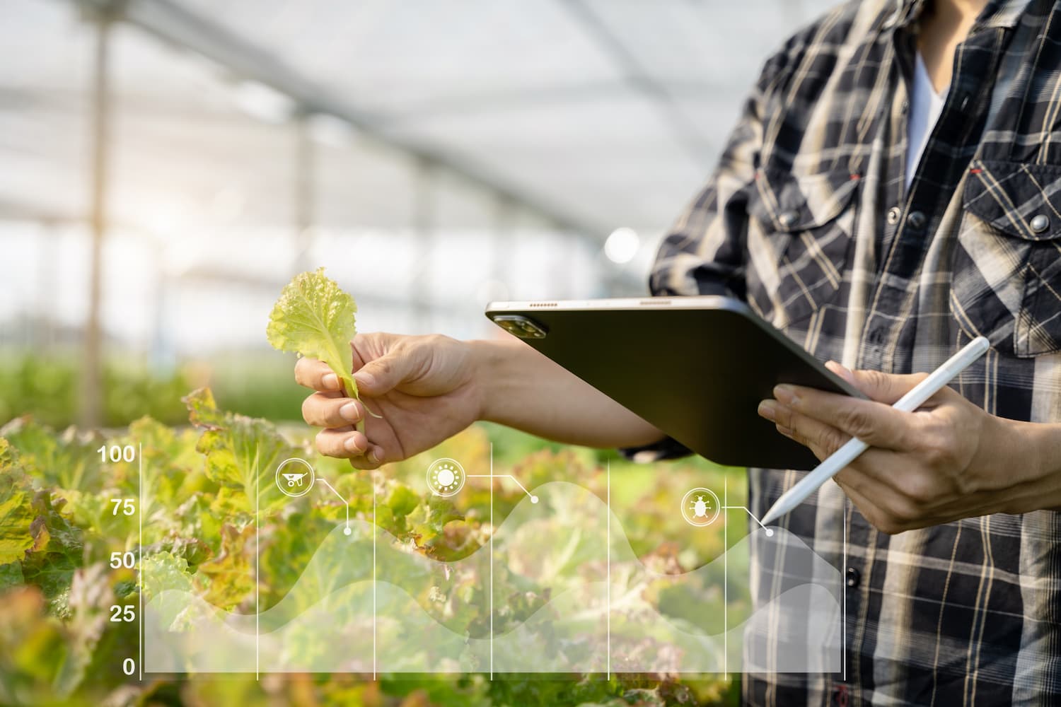 農業ハウスの環境制御を長距離無線で安定化｜葉が生い茂る環境でも途切れない状態監視ソリューション
