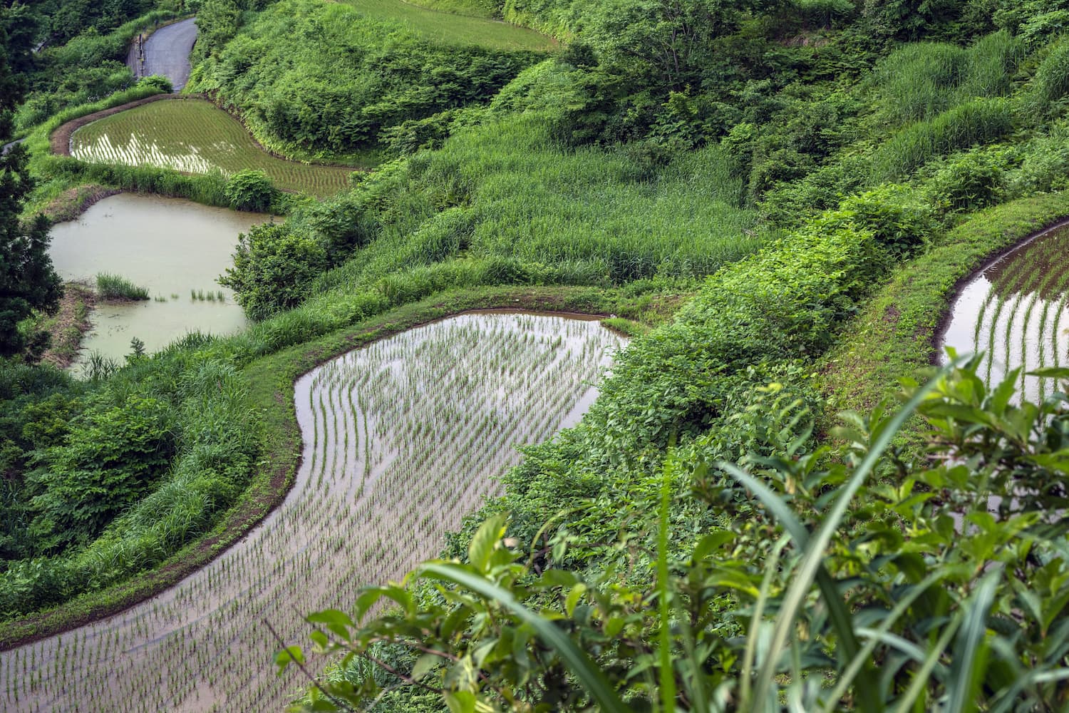 山間地の水管理を遠隔化。携帯圏外でも届く無線通信による水田バルブ・ポンプの遠隔制御ソリューション